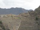 PICTURES/Sacred Valley - Ollantaytambo/t_IMG_7453.JPG